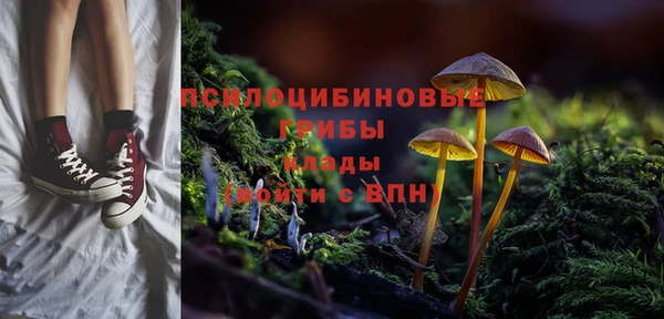 спиды Гусь-Хрустальный