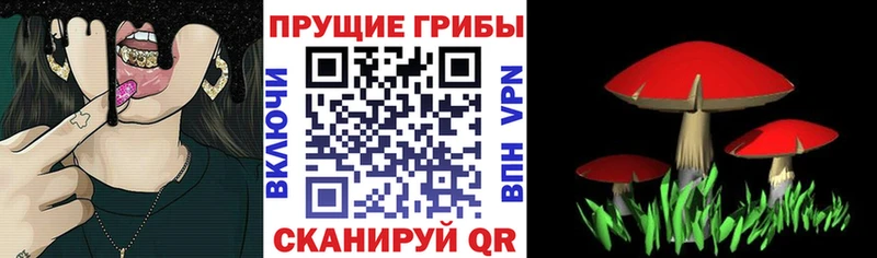 дарнет шоп  Звенигово  Галлюциногенные грибы Magic Shrooms 